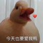 SickGalAmibelly