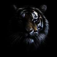T1G3RX's avatar