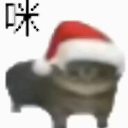 小猫你可以吃芝士汉堡