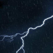 WY-【忘忧】玩熊