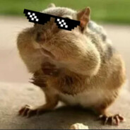 🐹