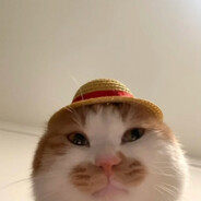 Taco