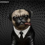 The Pug