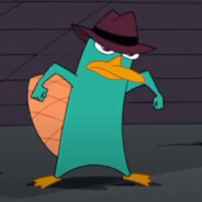 PERRY the Platypus!?