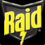 Raid