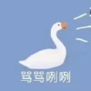 俄十字花科Cruciferae