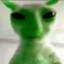 Juan alpaca