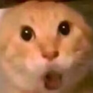 花咲川潜兵要乐奈