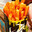 Taco Bell Nacho Fries