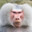 baboon