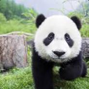 [alrko]EL PANDITA DEL WHTSP