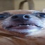 brn-