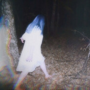 маскарад птиц