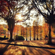 牛爷爷夸我大宝贝