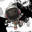 SackBoy avatar