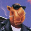 Camel