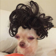 VOyZi - steam id 76561198198077185