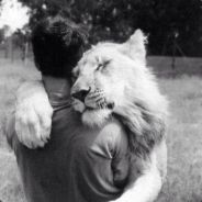 真不要脸还在笑就