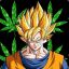 weedgoku.420