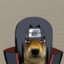 Dogachi Uchiha