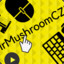 MrMushroomCZE