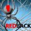 _Redback