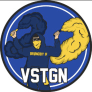 VSTGN-DK avatar