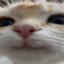 antoniokzn09