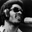 Stevie Wonder