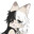 Catgirl snuff-film