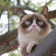 негативчик