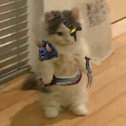 众神之父赐我元素视野