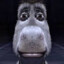 TheDonkinator