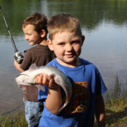 РЫБЬЯ ГОЛОВА