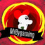 MiBygaming