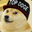 [SUCC] TOP doge