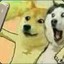 wdnmd