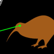 LaserKiwi