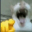 Joshua