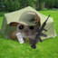 Hampter