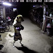 4KC - steam id 76561199491912119