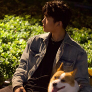 落日总会照在对的人身