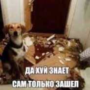 баклажан-убийца