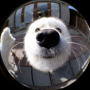 PongNengBabyLittleBoi