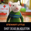 Stewart