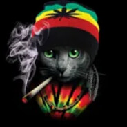 𝙬𝙝𝙮𝙄𝙚𝙋𝙤𝙝