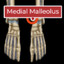 Medial Malleolus