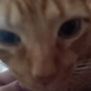 s1lva avatar