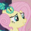 rFluttershy