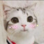 ➥︎ Lighty ❤